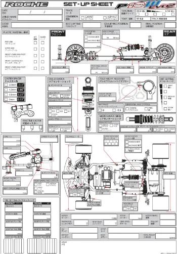 Roche P10W EVO2 Blank Setup Sheet