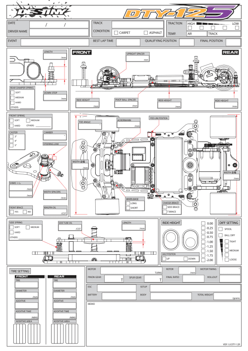 Destiny DTY-12S Setup Sheet Blank